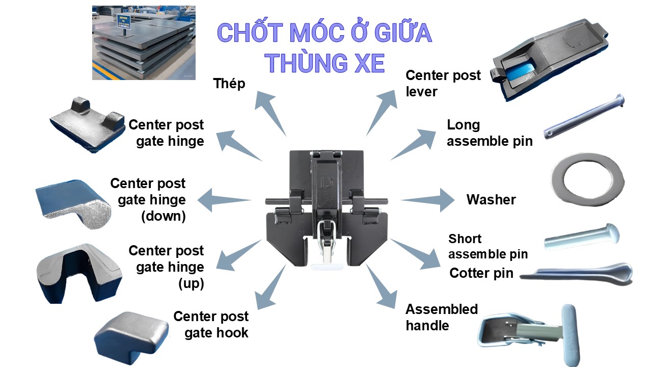 Không tìm thấy ảnh