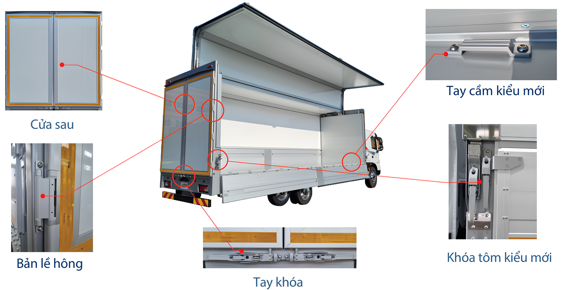 Không tìm thấy ảnh